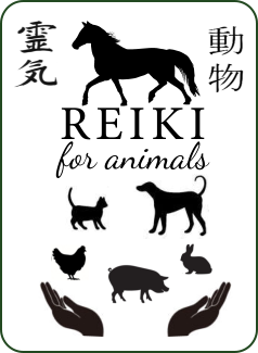 Reiki for Animals